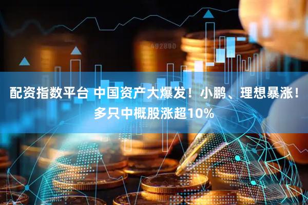 配资指数平台 中国资产大爆发！小鹏、理想暴涨！多只中概股涨超10%