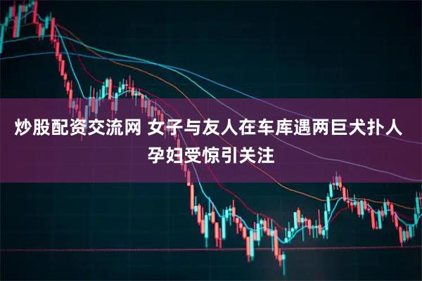 炒股配资交流网 女子与友人在车库遇两巨犬扑人 孕妇受惊引关注